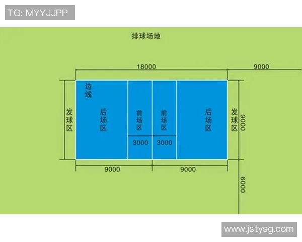重庆排球队灵活性分析与表现评估的深度研究与探讨
