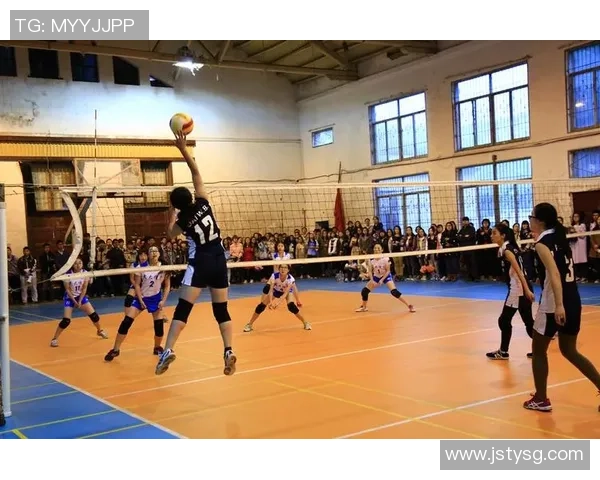 武汉排球队个人能力排名创新高展现新一轮竞技实力与团队协作潜力